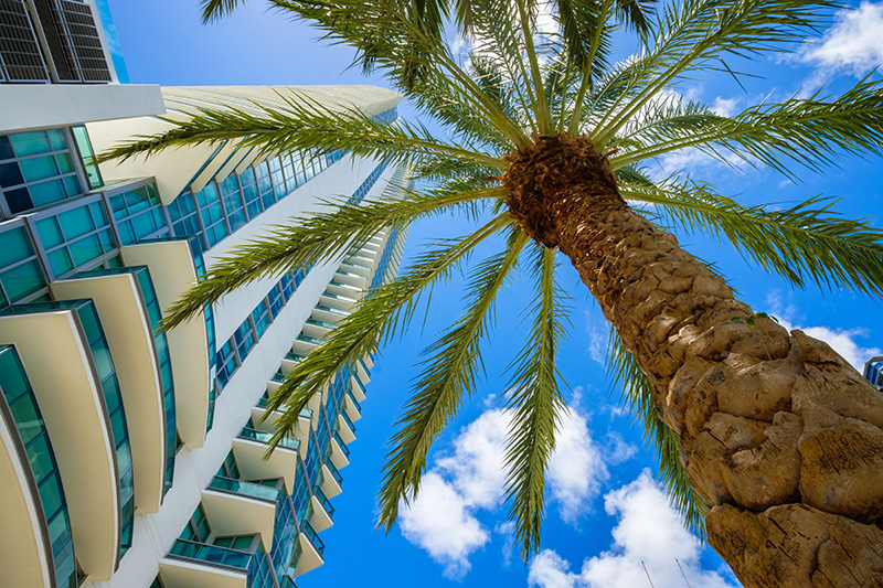 Downtown Miami Condo